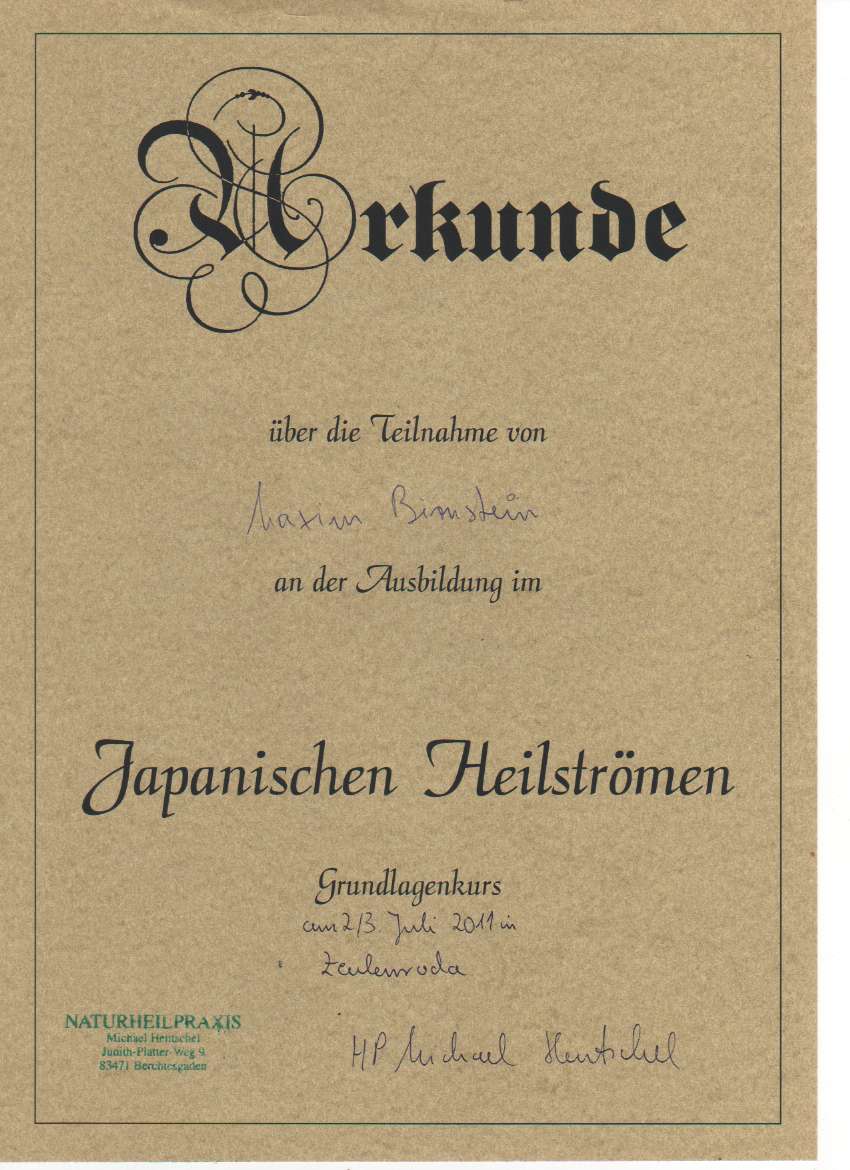Seminar Japanisches Heilströmen Maxim Birnstein
